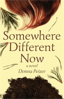 Somewhere Different Now (Paperback or Softback)