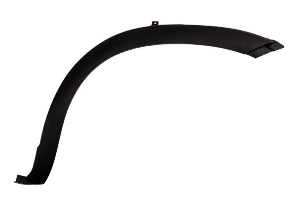 Right Front BLIC 5703-08-3081372P Trim/Protection Strip, wing for IVECO