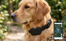 Localizzatore GPS Cane Gatto Smart Tracker Anti-Smarrimento Impermeabile + App