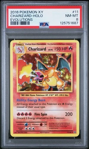 POKEMON 2016 XY EVOLUTIONS CHARIZARD HOLO #11 - PSA 8 NM-MT