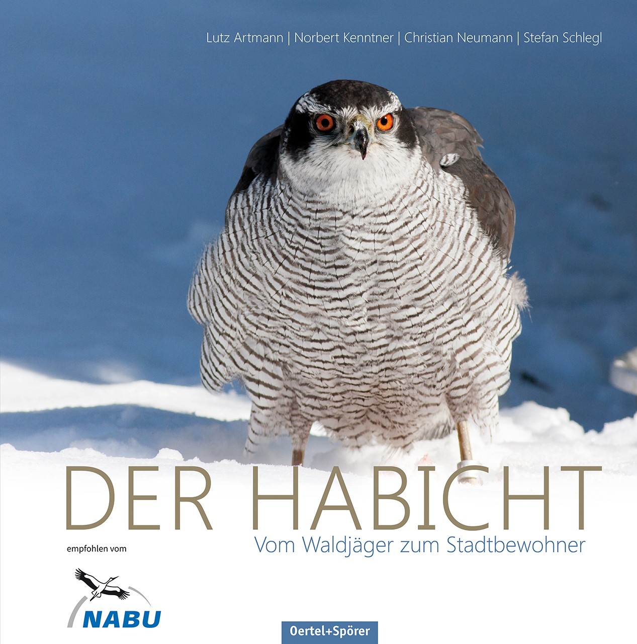 Der Habicht Norbert Kenntner