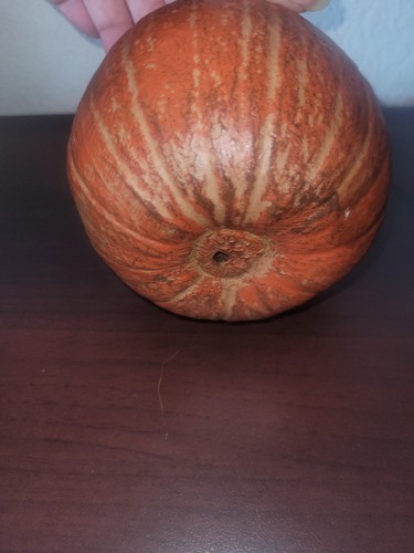 Decorative Pumpkin For Halloween Fall Thanksgiving Decor 5 Inch - Picture 5 of 5
