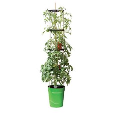Garland Self Watering Plant Pot Grow Planter with Support Tower Garden Tomatoes