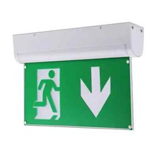 Click Lighting EM254SV Chain Mounted Self Test Emergency Sign Arrow Down Silver