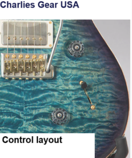 PRS Custom Solderless Wiring Upgrade +DGT style Mod + Coil split