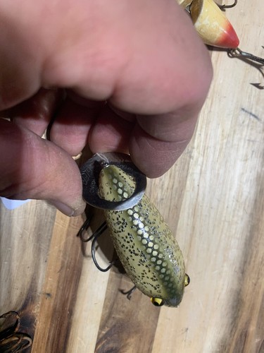 Heddon Zara Chiot Leurre de pêche, G-Finish Pearl/Red Head