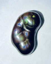 Fire Agate Deer Creek AZ 11 Ct .8” X .5”Amazing! From Clifford Willis Collection