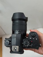 Panasonic LUMIX G95 20.3MP Mirrorless Camera w/12-60mm F3.5-5.6 Lens