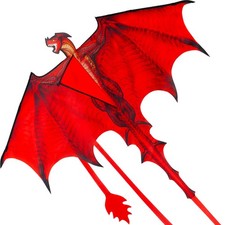 Dragon Kites for Kids and Adults, Easy to Fly Large Single Line Kite for Kids...