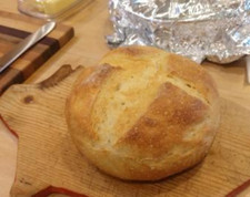 OUR BEST San Francisco sourdough starter yeast over 150 years old S.F.