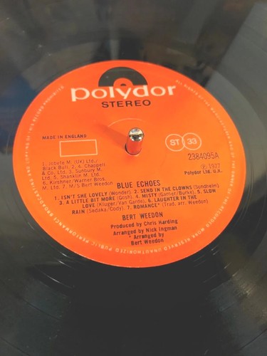 BURT WEEDON - Blue Echoes - Superb Near Mint 1977 12" Vinyl LP - Blues Guitar - Picture 3 of 13