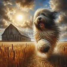 Digital Image Picture Photo Wallpaper Background Desktop Art Dog Farm #A26