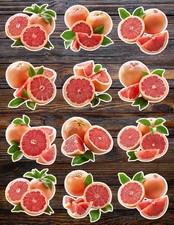 Sliced Grapefruit Cut Vinyl Stickers Scrapbooking Laptop Waterbottle