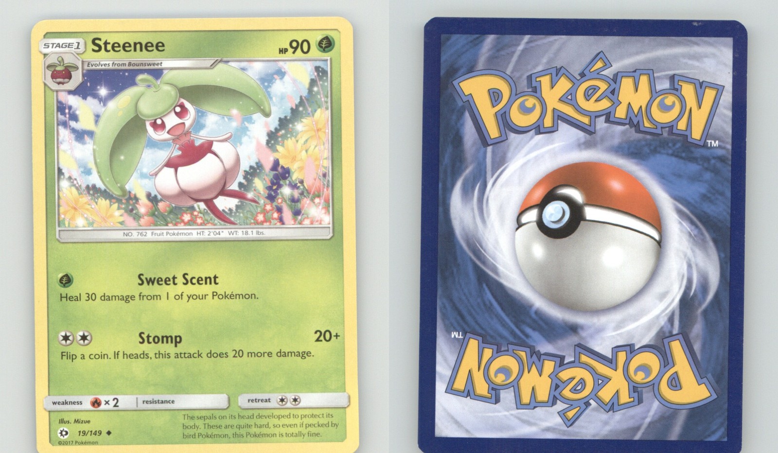 STEENEE 19/149 UNCOMMON SM BASE SET POKEMON LIGHTLY PLAYED