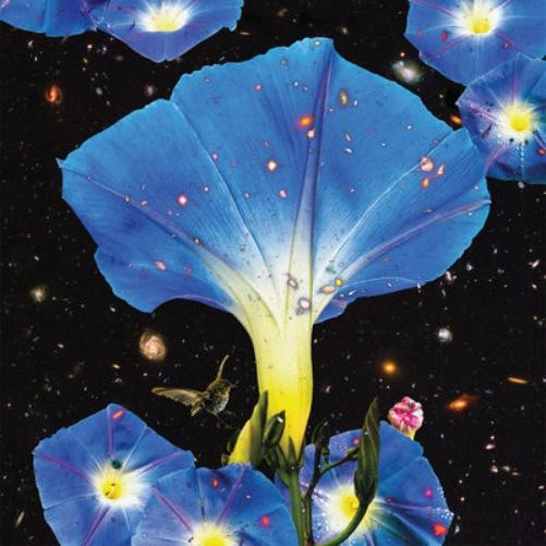 Альбом Сары Луизы Ночные птицы и утренние звезды (CD)