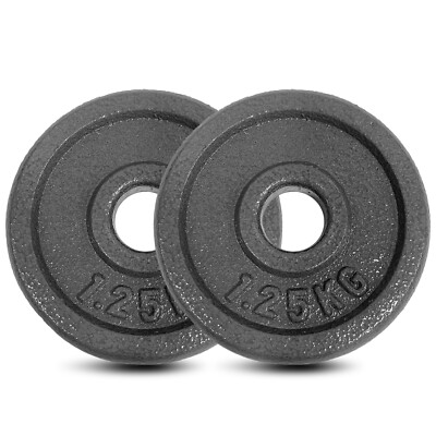 28mm Standard Cast Iron Weight Plate Set Weightlifting Dumbbell
