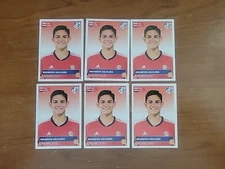6 X 2024 Panini Copa America USA Album Sticker Brandon Aguilera Costa Rica CRC17