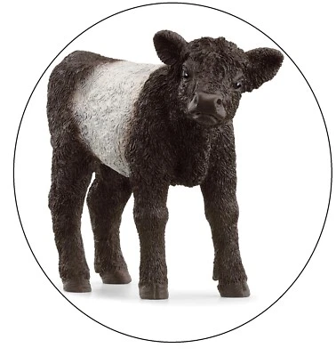 SCHLEICH® schleich 13969 Galloway Kalb, ab 3 Jahren, FARM WORLD - Spielfigur Neu