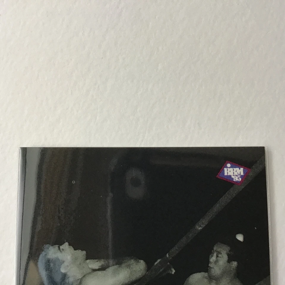 BBM Wrestling Card 1995 Rikidozan  vs Lou Thesz Greatest Wrestler No.210 - Image 2 of 4