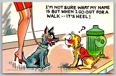 Postcard I m Not Sure What My Name Is But When I Go Out For A Walk, It s Heel D4