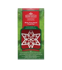 Scentsicles Scented Star Christmas Ornaments White Winter Fir Scent