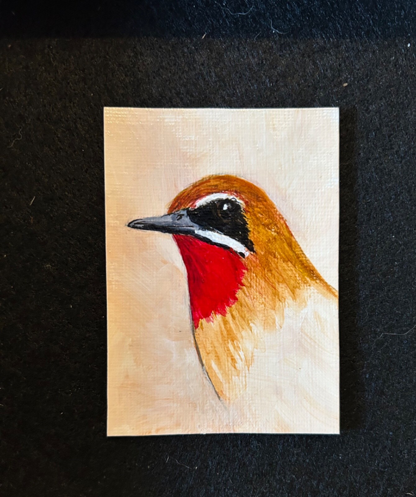 Bild 4 von 5