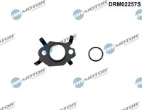 DRM02257S Dr.Motor Automotive Dichtungssatz, Agr-System FüR CitroËN,Ds,Fiat,Ford