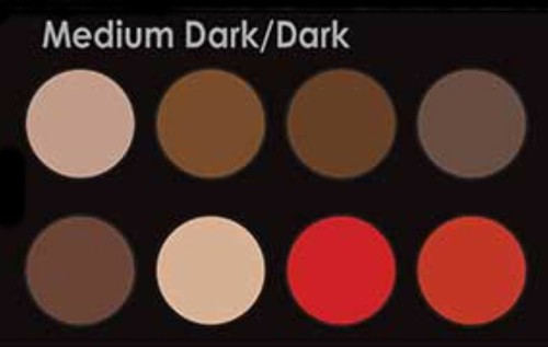 Mehron Mini Pro Makeup Kit theatrical acting MUA student school FX instruction - Picture 21 of 36