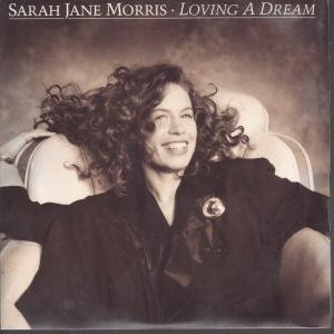 Sarah Jane Morris Loving A Dream 7"" vinyl UK Jive 1989 pic sleeve SJM4