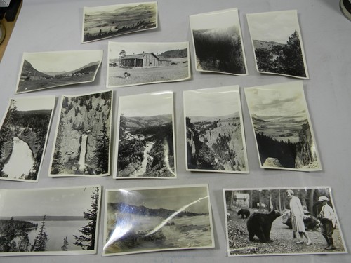 Parco Yellowstone ? Foto Lotto di 13, Orso che nutre, cascata, cabine - 2G