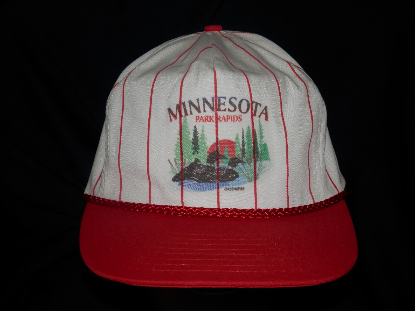 trucker hat baseball cap MINNESOTA PARK RAPIDS retro vintage style cool nice