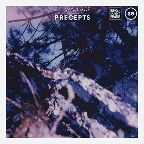 Eli Wallace Eli Wallace: Precepts (CD) Album