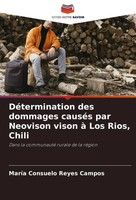 MaríA Consuelo Reyes Campos | DéTermination Des Dommages CauséS Par Neovison...