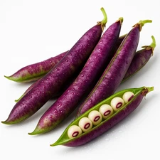 40+ PURPLE HULL PINKEYE COWPEA SEEDS | HEAT-LOVING • NON-GMO | FREE SHIPPING 🌱