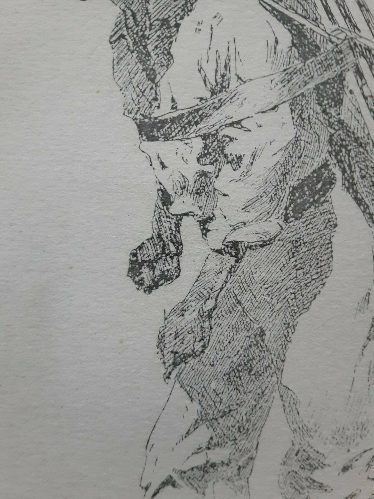 Picture 8 of 10