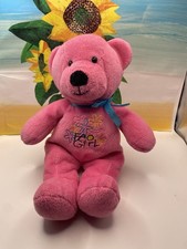 FAO Schwarz FAO Girl Pink Teddy Bear Plush Stuffed Animal Bean Bag Toy