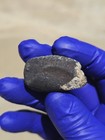 NWA L5 Meteorite 21.570g Fresh Fusion Crusted Individual W0 Provisional — photo 5