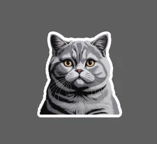 British Short Hair Sticker Waterproof Decal Cat Feline Friend Family Gift NEW
