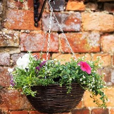 Image of Smart Garden Rattan Hanging Basket – 12in