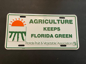 VINTAGE BOOSTER AGRICULTURE KEEPS FLORIDA GREEN FRUIT & VEGETABLE LICENSE PLATE