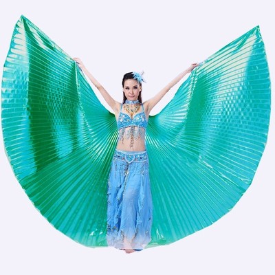 New Open or Close Professional India Egypt Belly Dance Costume