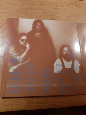 LP Steely Dan Cant Buy A Thrill B003511101 GEFFEN 未開封 /00400 Steely-Dan-Cant-Buy-A-Thrill.