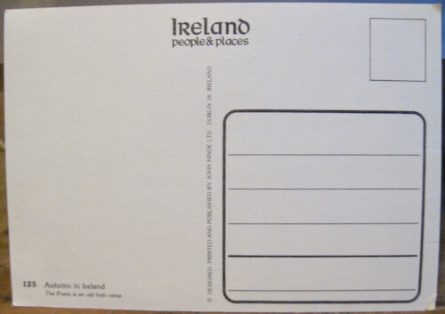 Postkarte IRISCHER SEGNEN Frau May Road Rise Meet You Irland John Hinde P&P 125 - Bild 2 von 2
