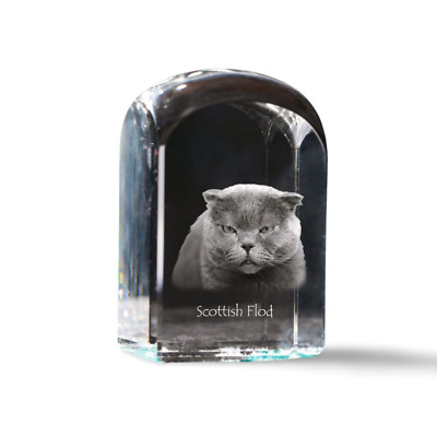 Scottish Fold - crystal cube with a photo, photo of a cat in crystal, cubic pape