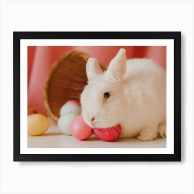 Osterhase 11 Kunstdruck gerahmt Wandbild Poster Leinwanddruck Bild