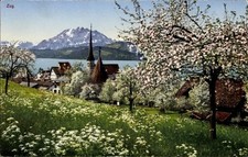 Ak Zug Stadt Schweiz, Blühende Bäume, Berge, See, Kirche, Dorf - 5010354