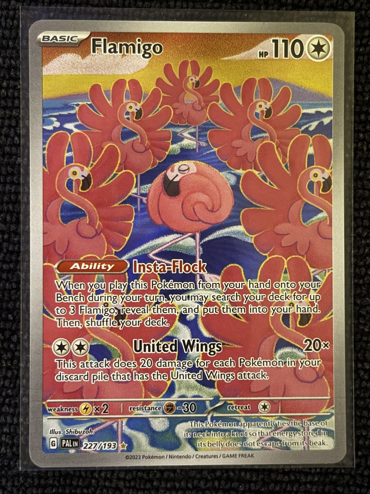 Flamigo 227/193 NM Illustration Rare (EN) - Pokemon TCG SV02: Paldea Evolved