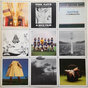Pink Floyd a Nice Pair | eBay