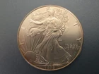 1996 1 oz Silver American Eagle $1- Key Date - Natural Rim Toning - BU