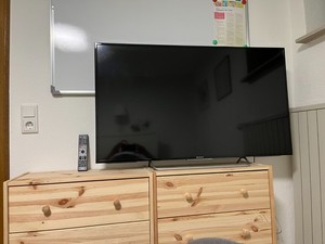 Sony Bravia KDL-48W705C Smart TV LED Fernseher defekt (Vermutung: T.Con Board)